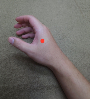 ツボ 合谷 位置